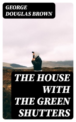 The House with the Green Shutters