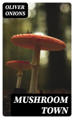 Mushroom Town