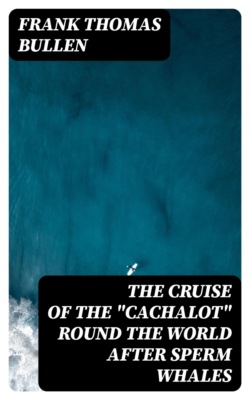 The Cruise of the "Cachalot" Round the World After Sperm Whales