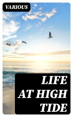 Life at High Tide