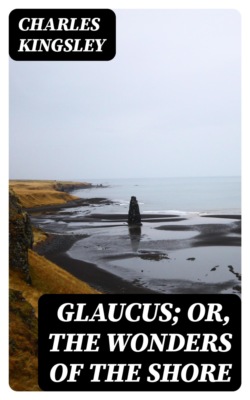 Glaucus; Or, The Wonders of the Shore