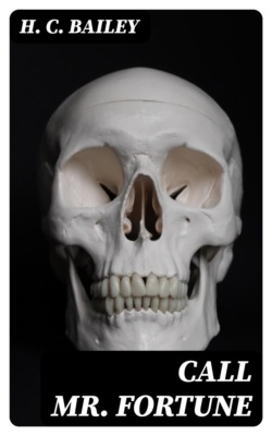 Call Mr. Fortune