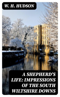 A Shepherd's Life: Impressions of the South Wiltshire Downs