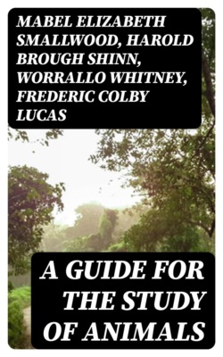 A Guide for the Study of Animals