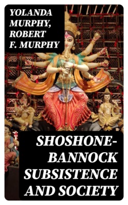 Shoshone-Bannock Subsistence and Society