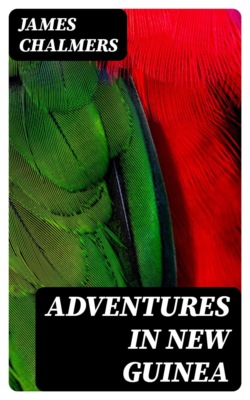 Adventures in New Guinea