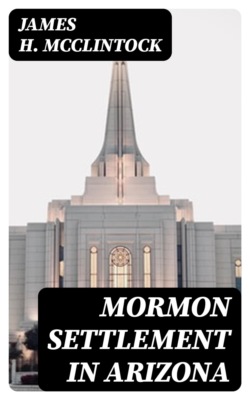 Mormon Settlement in Arizona