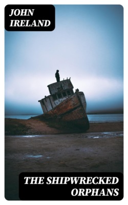 The Shipwrecked Orphans