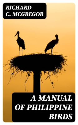 A Manual of Philippine Birds