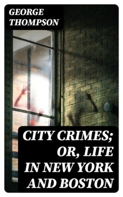 City Crimes; Or, Life in New York and Boston