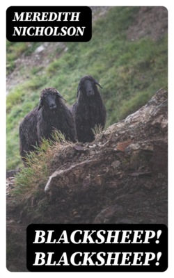 Blacksheep! Blacksheep!