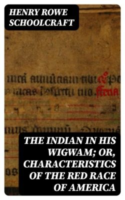 The Indian in his Wigwam; Or, Characteristics of the Red Race of America