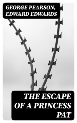 The Escape of a Princess Pat