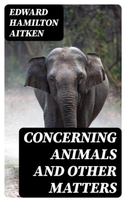 Concerning Animals and Other Matters