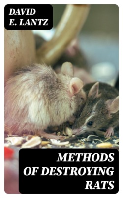 Methods of Destroying Rats