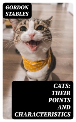 Cats: Their Points and Characteristics