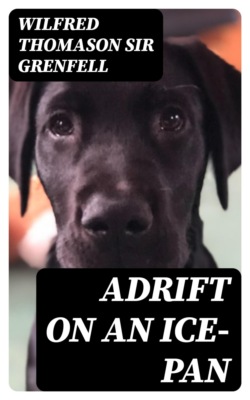 Adrift on an Ice-Pan