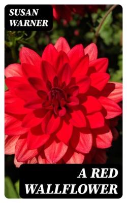 A Red Wallflower