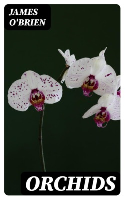 Orchids