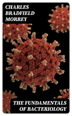 The Fundamentals of Bacteriology