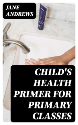 Child's Health Primer For Primary Classes