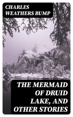 The Mermaid of Druid Lake, and Other Stories