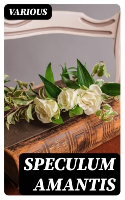Speculum Amantis