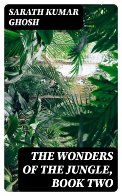 The Wonders of the Jungle, Book Two