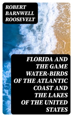 Florida and the Game Water-Birds of the Atlantic Coast and the Lakes of the United States