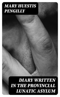 Diary Written in the Provincial Lunatic Asylum