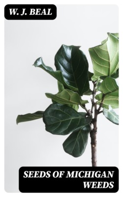 Seeds of Michigan Weeds