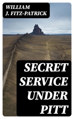 Secret Service Under Pitt