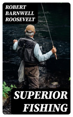Superior Fishing