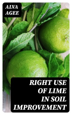 Right Use of Lime in Soil Improvement