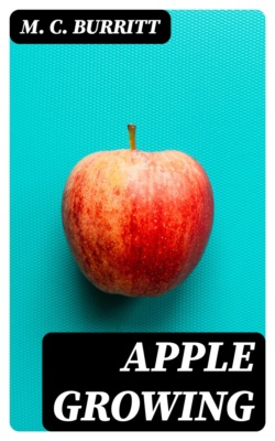 Apple Growing