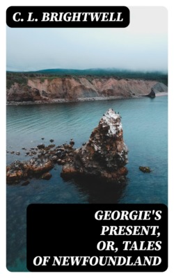 Georgie's Present, or, Tales of Newfoundland