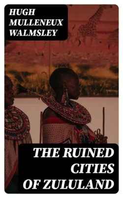 The Ruined Cities of Zululand