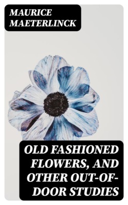 Old Fashioned Flowers, and other out-of-door studies