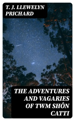 The Adventures and Vagaries of Twm Shôn Catti