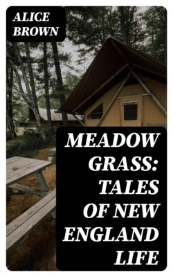 Meadow Grass: Tales of New England Life