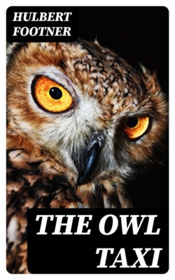 The Owl Taxi