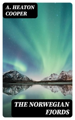 The Norwegian Fjords