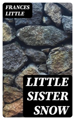 Little Sister Snow