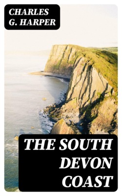 The South Devon Coast