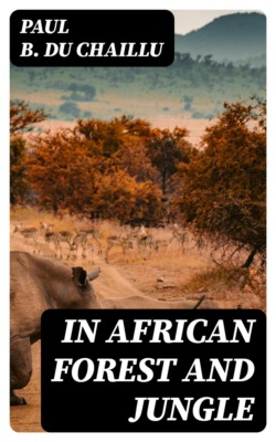 In African Forest and Jungle