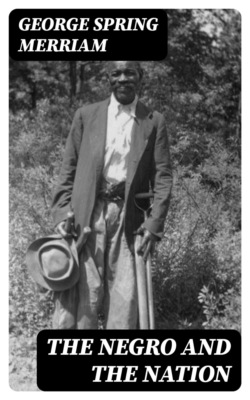 The Negro and the Nation