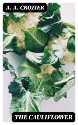 The Cauliflower