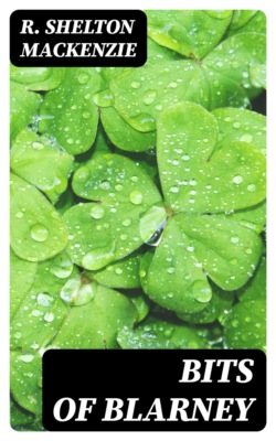 Bits of Blarney