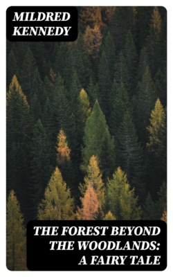 The Forest Beyond the Woodlands: A Fairy Tale