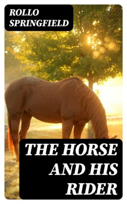 The Horse and His Rider